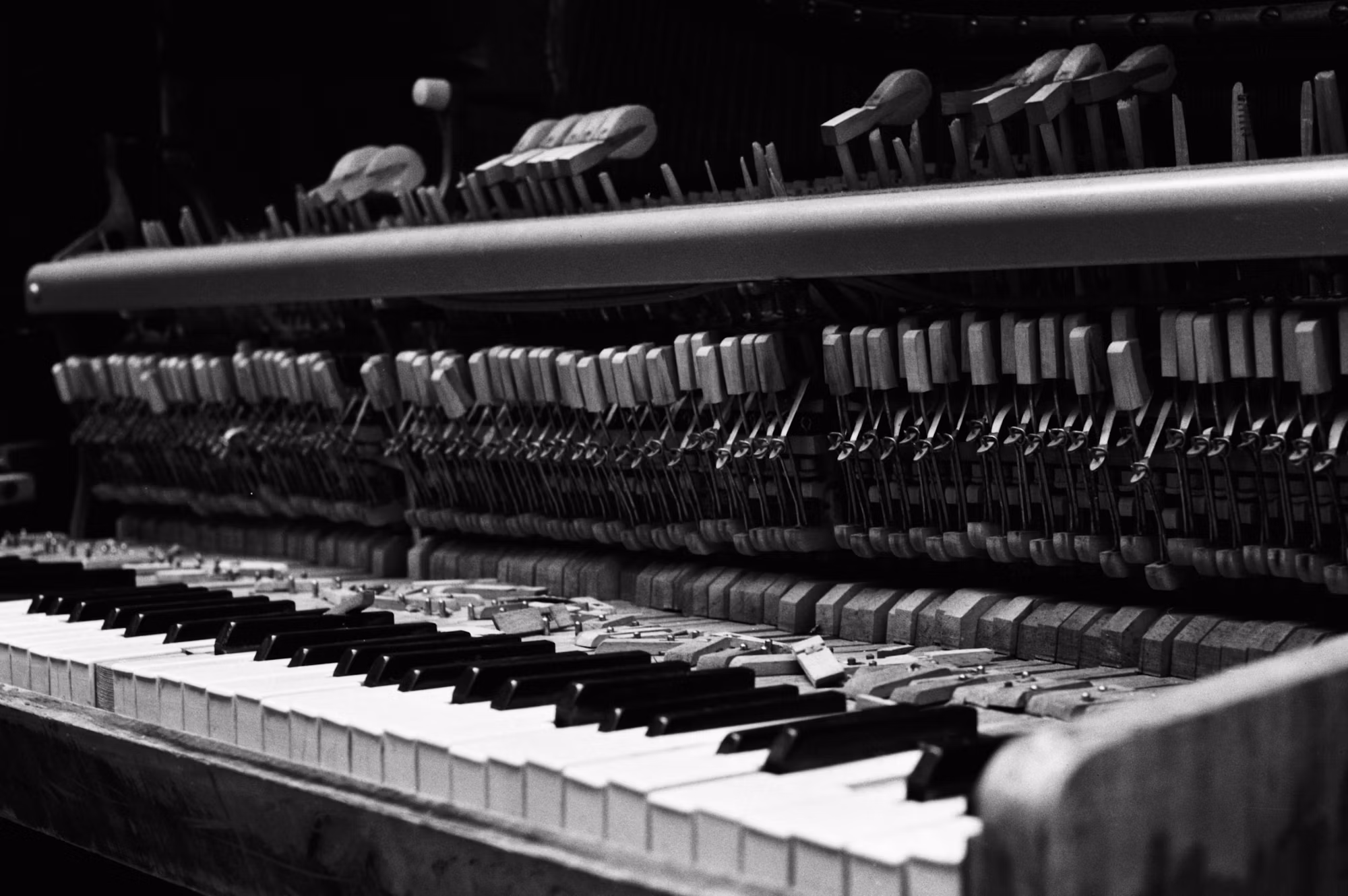The Evolution of Piano Music: A Genre Exploration